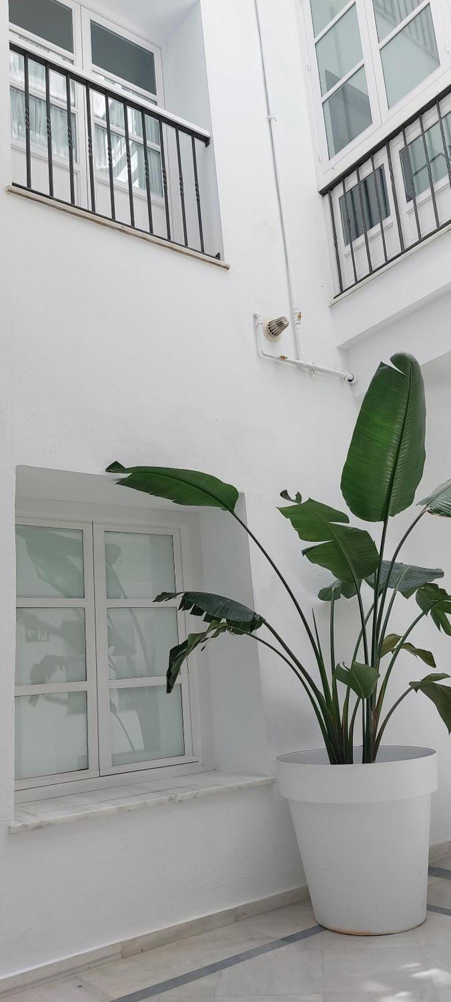 El 2 De Flamenco 2ºa Apartment *